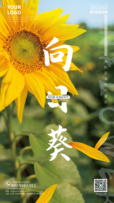 黄色简约摄影风向日葵音乐节海报