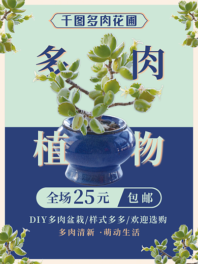 多肉植物盆栽海报