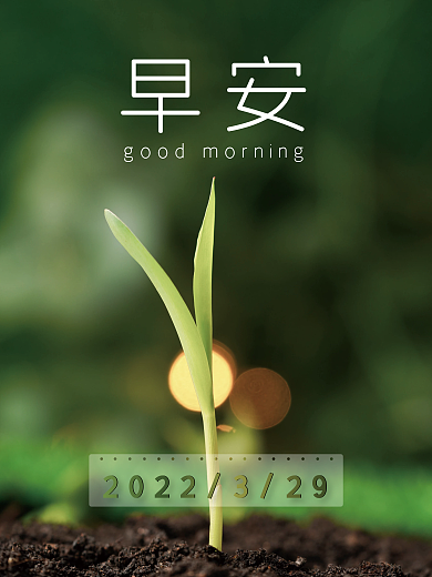 早安绿色植物发芽早上好