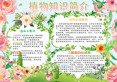植物知识简介小报保护植物电子手抄报