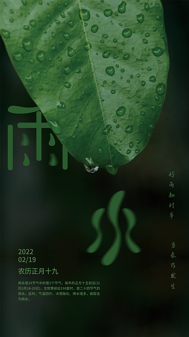 传统二十四节气雨水绿色海报