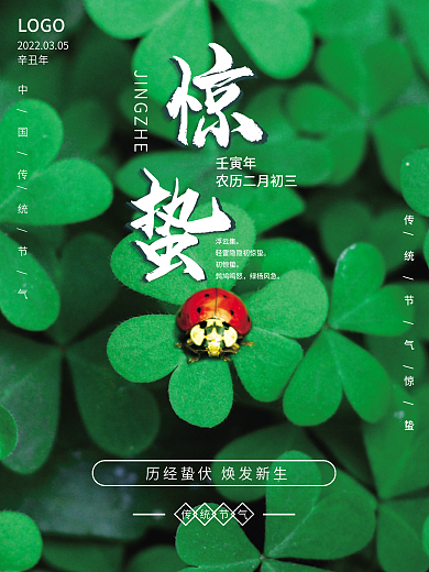 创意简约春天惊蛰节气绿色瓢虫摄影图海报