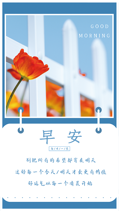 小清新郁金香早安海报