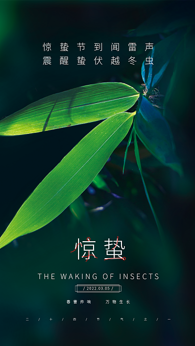 简约惊蛰节气摄影图海报