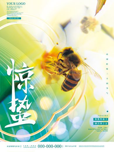 简约创意小清新惊蛰节气摄影图节气海报