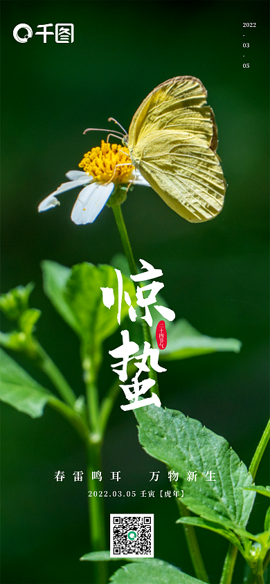 惊蛰二十四节气手机海报