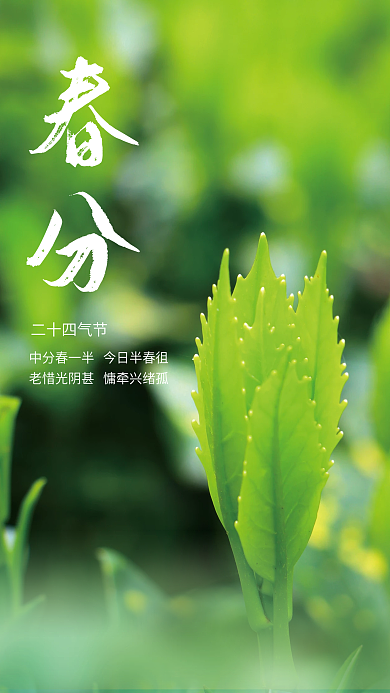 小清新简约春分节气海报