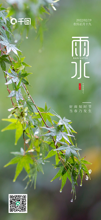 绿色清新雨水节气二十四节气海报