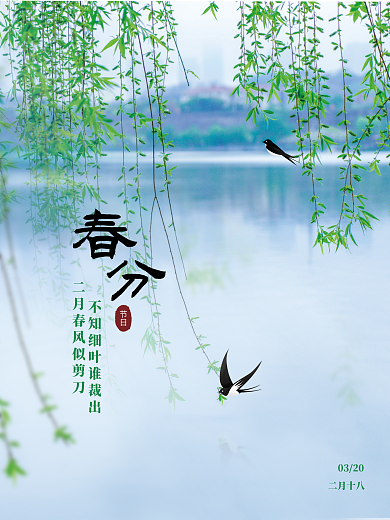 春分海报春天柳树杨柳燕子柳叶海报24节气