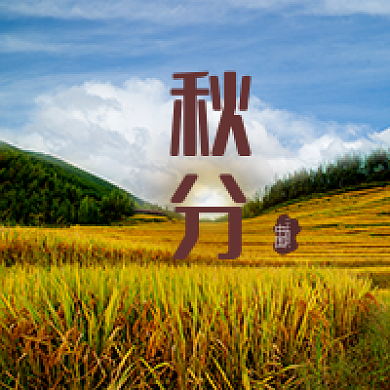 秋分中国二十四节气天空稻田大山树林