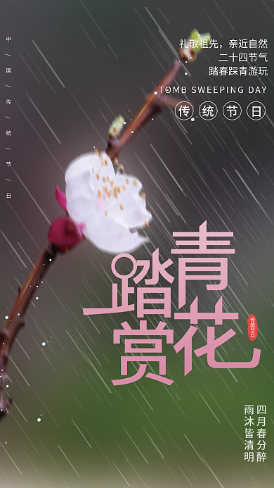 国潮中国风传统节日清明踏青祭祖宣传海报