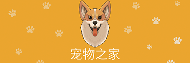 宠物店优惠券卡片