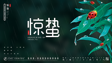 简约大气二十四节气惊蛰展板