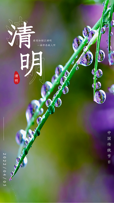 简约传统节日清明节摄影图海报