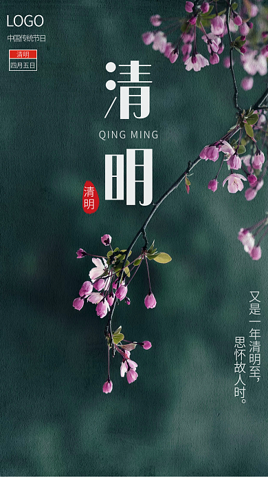 简约传统节日清明节摄影图海报