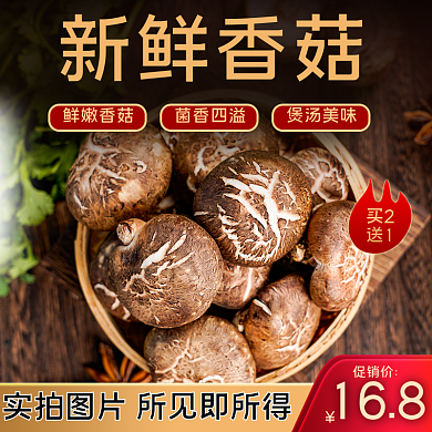 食品食材平菇蘑菇香菇农产品干货主图直通车