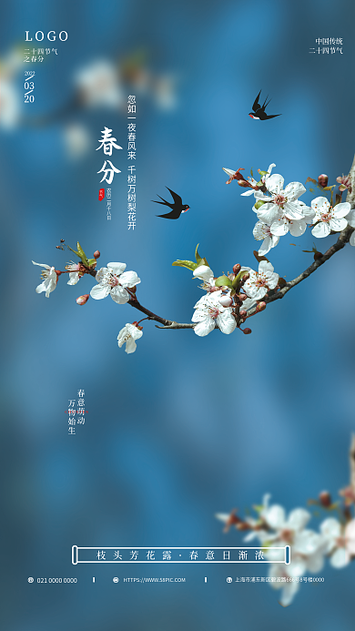 简约春分节气摄影图海报