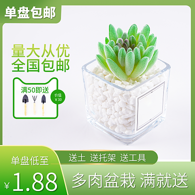 淘宝电商盆栽园艺农具主图直通车