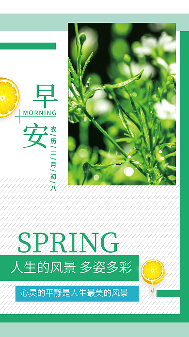 简约清新文艺励志早安海报