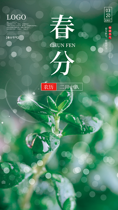 简约小清新创意春分海报春分节气摄影海报