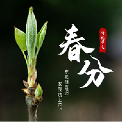 春分节气万物发芽公众号次图