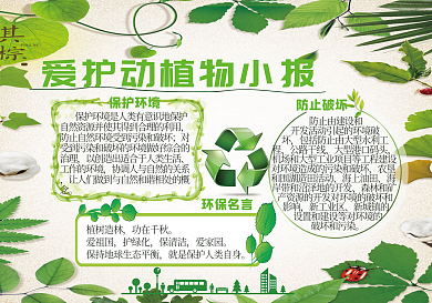 清新爱护动植物小报