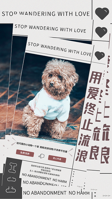 宠物领养爱心传递流浪猫狗