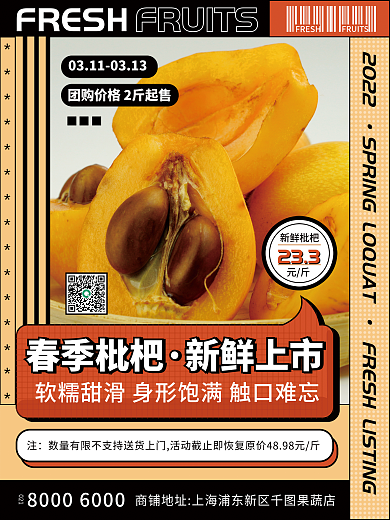 春节水果枇杷新品上市简约促销海报