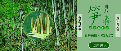 春笋采摘公众号封面