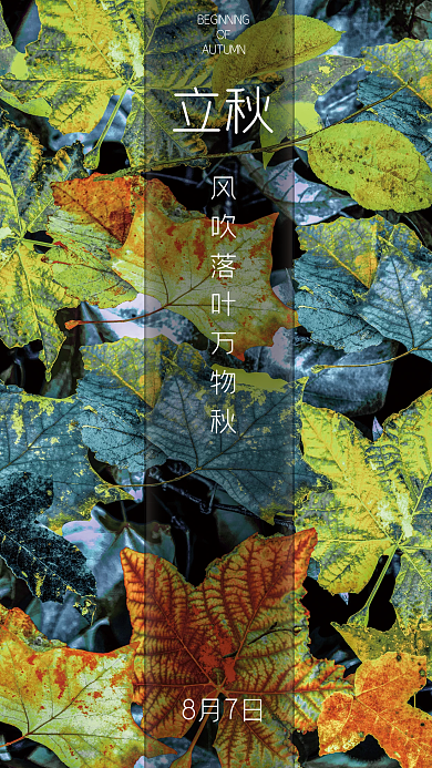 立秋特俗色调海报