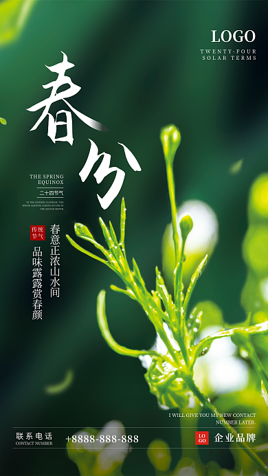 春分节气摄影图海报春天小草野花