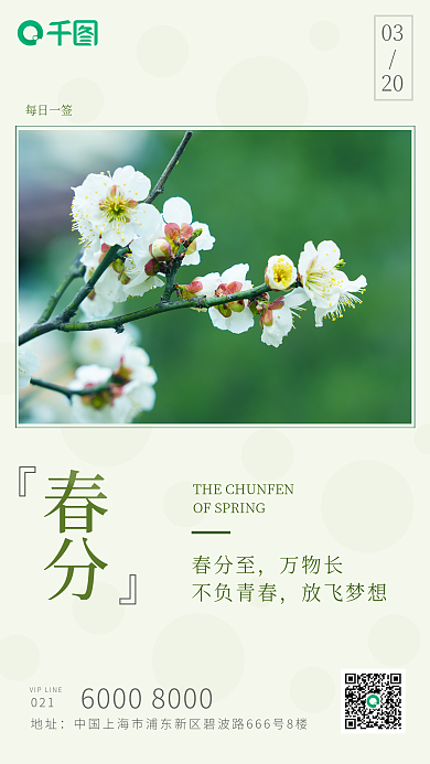 春分节气每日一签小清新春天简约大气海报
