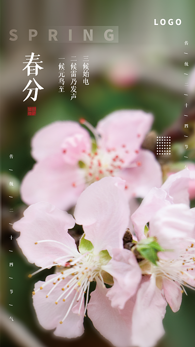 简约小清新春分节气摄影图海报