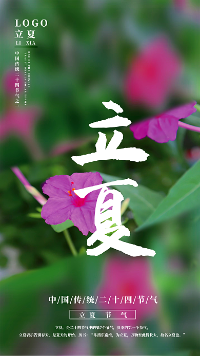 二十四节气立夏海报