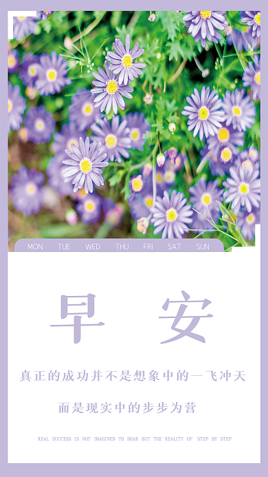 小清新简约雏菊励志日签朋友圈早安海报