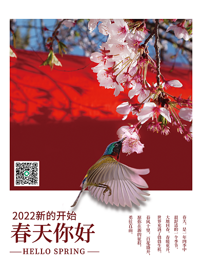 春天你好桃花春季海报季节红墙蜂鸟励志公益