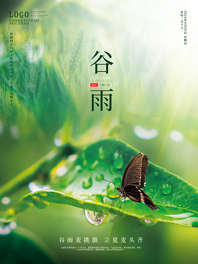 简约大气谷雨海报