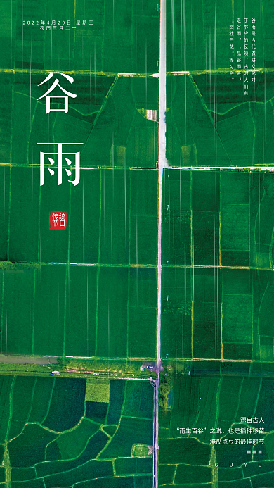简约清新谷雨海报
