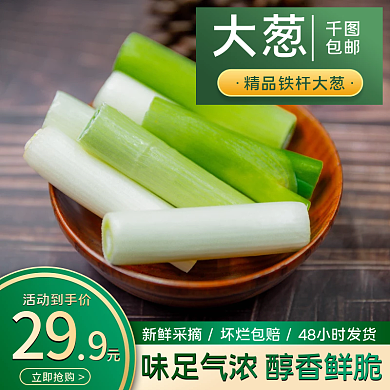 电商淘宝绿色生鲜蔬果大葱调料主图车图