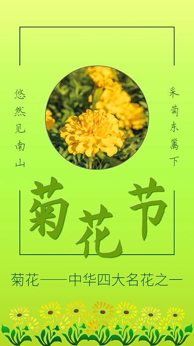 简约小清新赏菊花海报