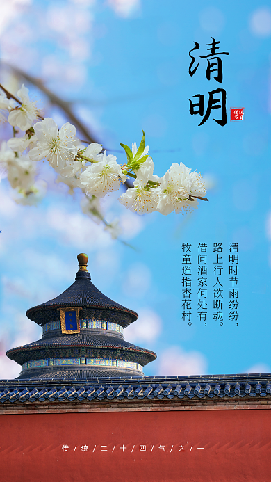 清新清时节天坛白花海报