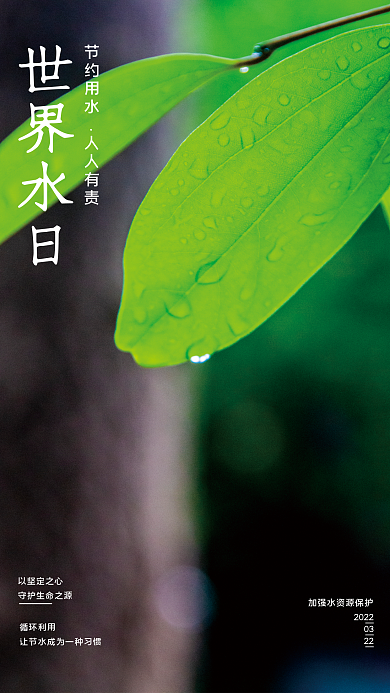 世界水日节约用水爱护地球公益海报