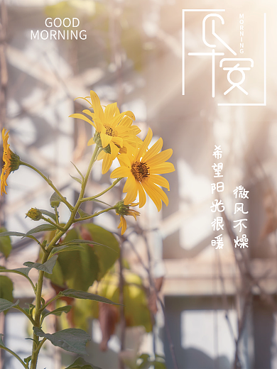 早安希望阳刚很暖微风不燥