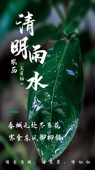 古风清明节雨水海报