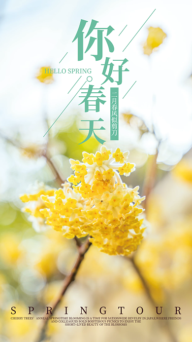 你好春天设计师摄影图海报