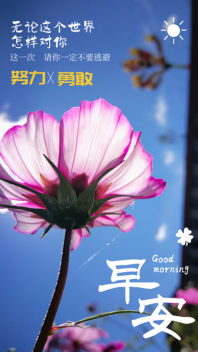 小清新简约风励志早安专属海报