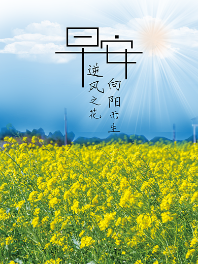 逆风之花向阳而生