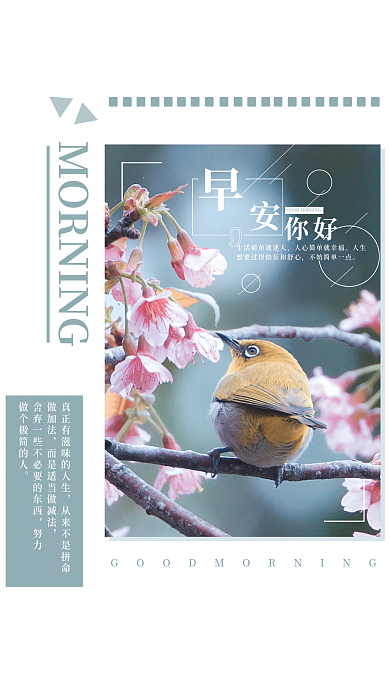 花香鸟语春季早安日签图励志海报