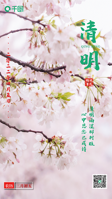 清明节粉红色花春天节日节气海报