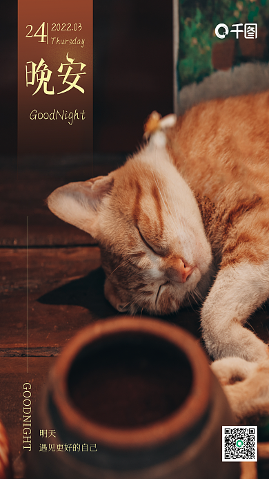睡着猫咪暖心晚安海报